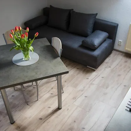 Apartment Sarka Karlovy Vary